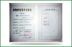 ������������ϸ�֤