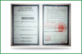 ��֯��������֤