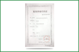 ������ֳ����֤